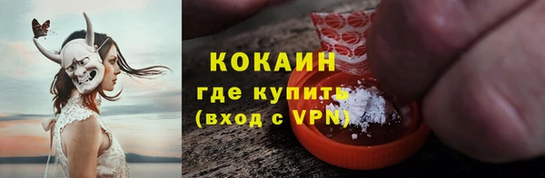 дмт Инсар
