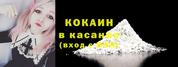 дмт Инсар