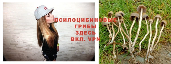 метамфетамин Инта