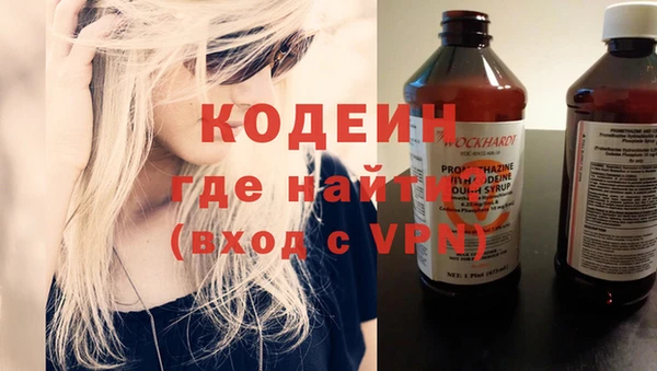 дмт Инсар