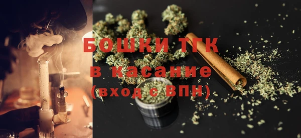 дмт Инсар