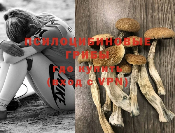 метамфетамин Инта