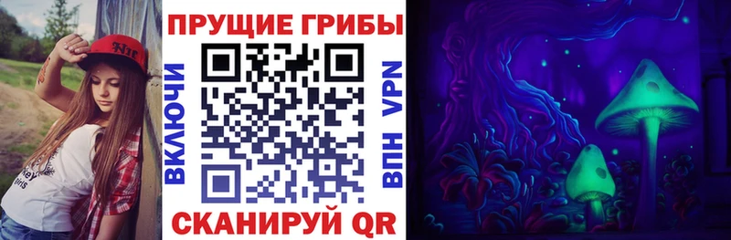 Купить  Кукмор  Галлюциногенные грибы Psilocybe 